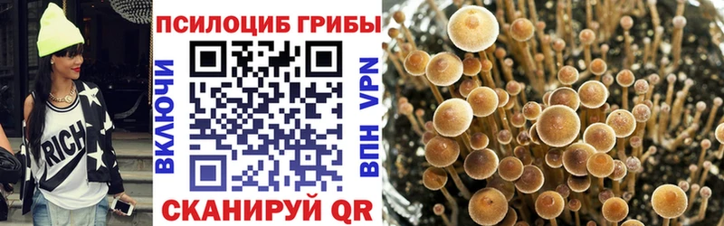 Галлюциногенные грибы Psilocybine cubensis продажа наркотиков Орск