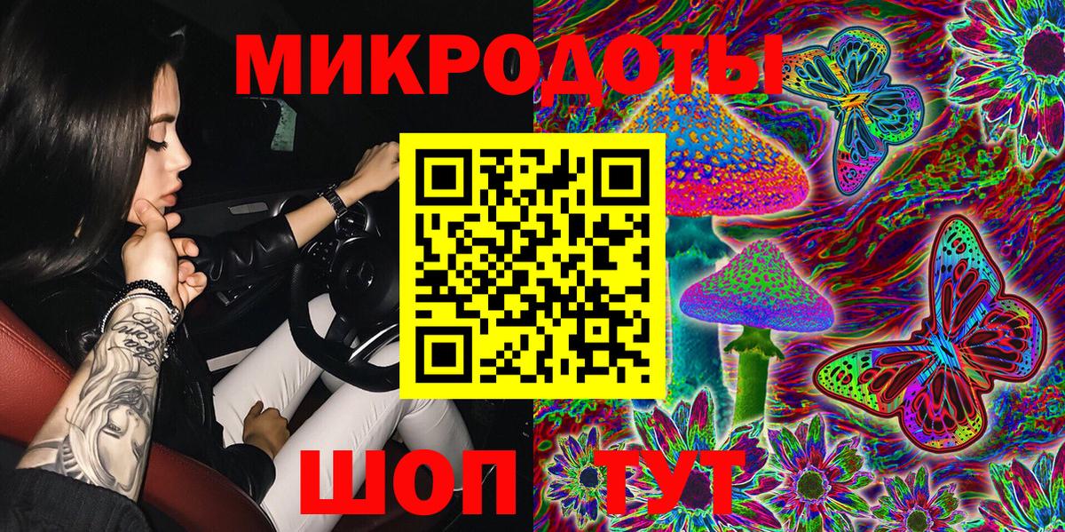 Галлюциногенные грибы Psilocybine cubensis Орск