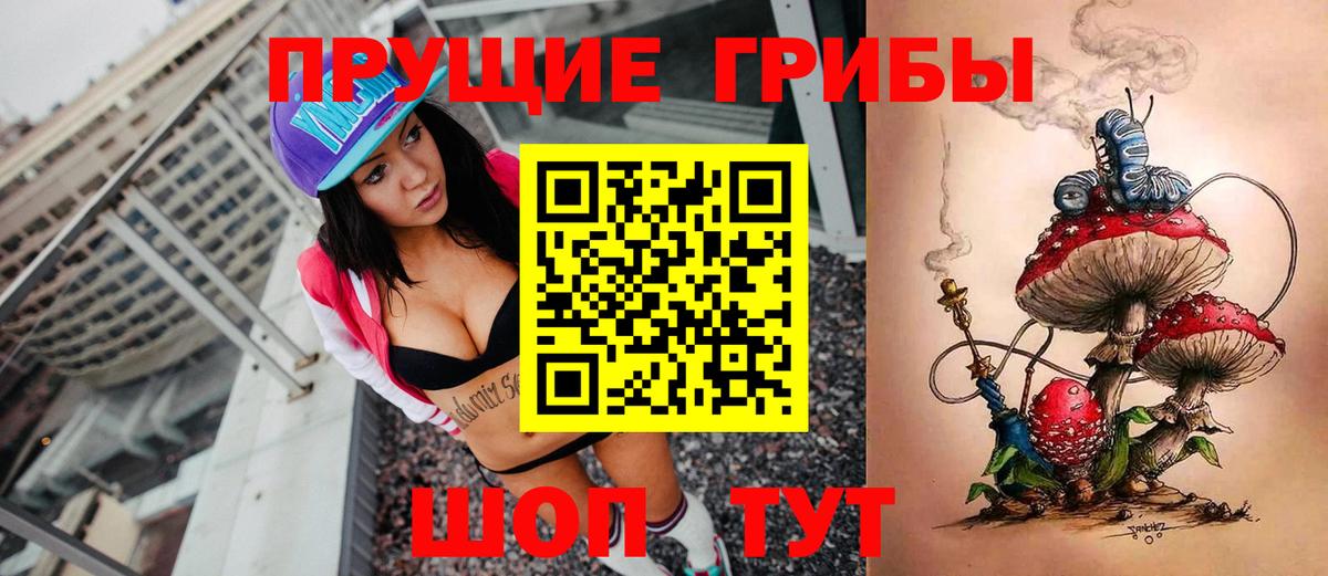Орск  Псилоцибиновые грибы MAGIC MUSHROOMS  Вход с VPN  Галлюциногенные грибы Psilocybe 